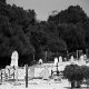 Dario Ferro Copyright - 01Robben Island